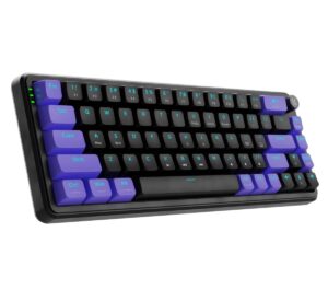 Hive 65 RGB Mechanical Gaming Keyboard | Pre-Lubed Switches, Anti-Ghosting, 5-Pin Hot-Swap | Wired 65% Keyboard with RGB Backlight & Detachable USB-C Cable (Black)